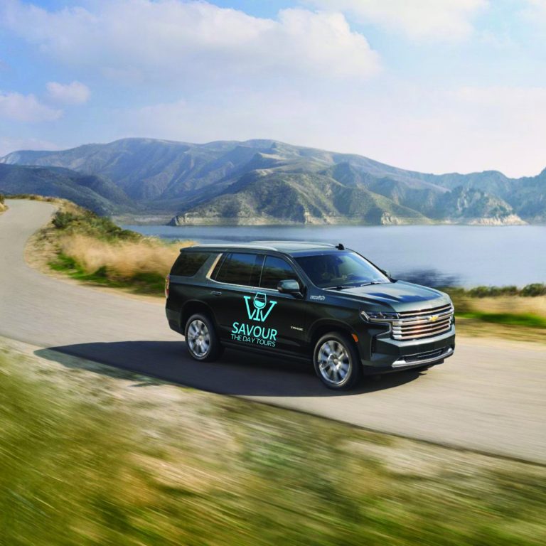 A fluffy white dog sits on a leather seat in a car's back interior.
